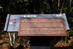 永嘉丽水街古村 (2)