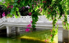 [26067] 十香园门前的河畔