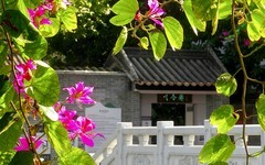 [26067] 十香园门前的河畔