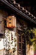 外出随拍（864）.