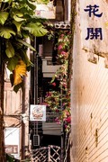 外出随拍（864）.