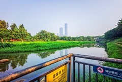 深圳中心公园 掠影