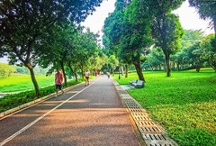 深圳中心公园 掠影