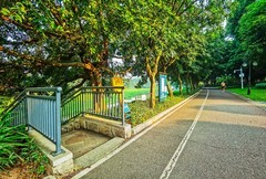 深圳中心公园 掠影