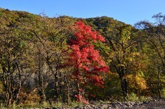 行车途中随拍（3）