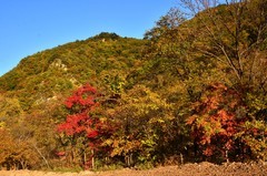 行车途中随拍（3）