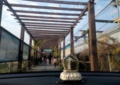 漫步星城 （986）湘村