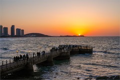 2026年第0155贴-威海金海湾栈桥旅拍（0228）