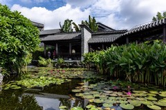文化馆随拍-续4