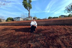 杭州富春江，支江北公l园游随拍