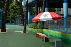 杂拍