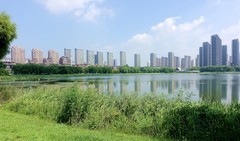 城市湿地人杰湖