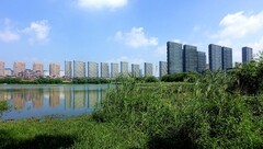 城市湿地人杰湖