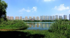 城市湿地人杰湖