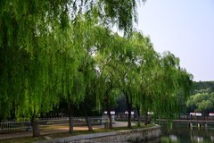 镜湖公园秋韵美景