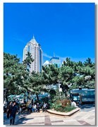 2025国庆手机随拍（三）