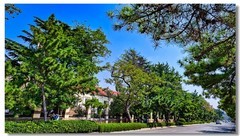 2025国庆手机随拍（四）