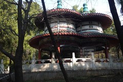 磨山友谊林3——武汉随笔