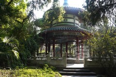 磨山友谊林3——武汉随笔