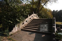 磨山友谊林1——武汉随笔