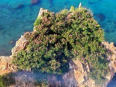 山东沿海行【3】