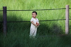 彩虹公园4
