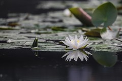 彩虹公园5
