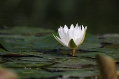 彩虹公园5