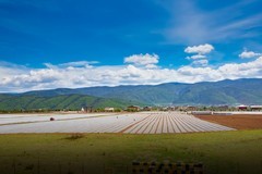 香格里拉到西双版纳沿途风景24