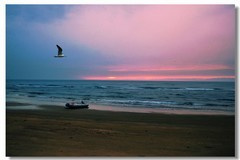 在海边（七）