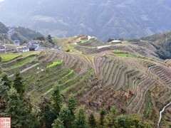 2025.3.19桂林龙脊平安梯田（10）