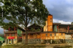 ?榕江 · 三宝侗寨 · 古榕树群