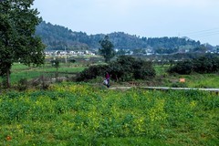 春游大足和平村（4）