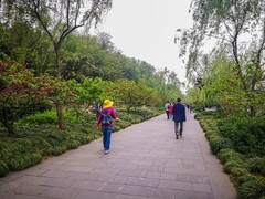 扬州瘦西湖 掠影