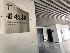 漫步星城 （885）“光之教堂”