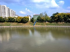 2025秋游（32）鹤城区天星中路