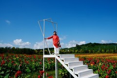 雁鸣湖——小山村花海（8）