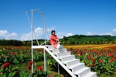 雁鸣湖——小山村花海（8）