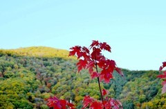 行车途中随拍（5）