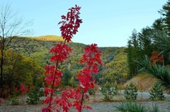 行车途中随拍（5）