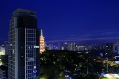 夜景