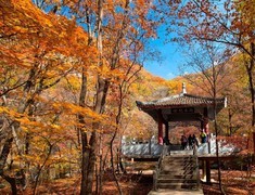 重启记忆 . 活跃版块 . 欢迎摄友来5D3版块发帖