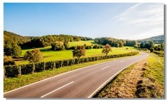 又见秋野--销假贴