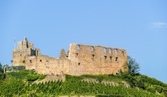 “雷司令”酒庄古堡巡幽（南德）