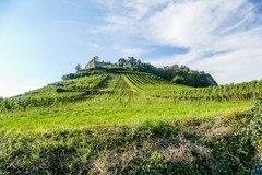 “雷司令”酒庄古堡巡幽（南德）