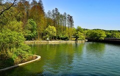 武汉植物园随拍