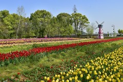 武汉植物园随拍