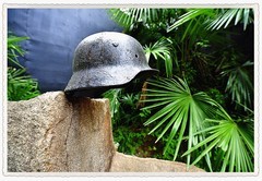 铭记历史 珍爱和平