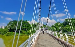 海珠湿地 （3）