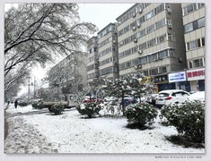 一场大雪【【丙午年-009】】